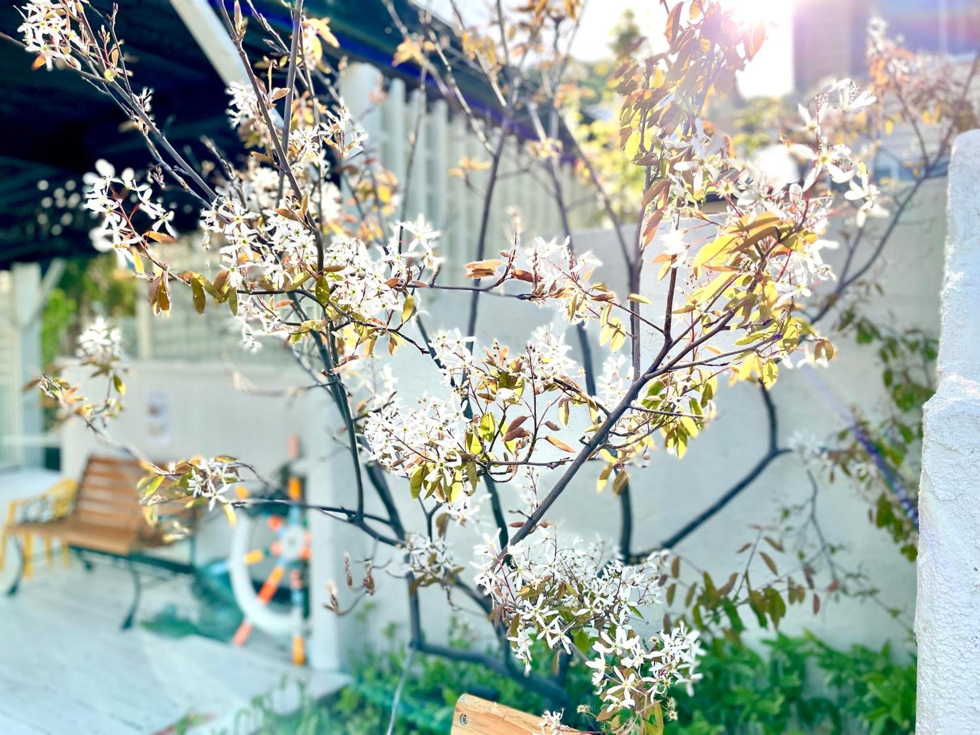 Shinsei Otel Shakotan Dış mekan fotoğraf